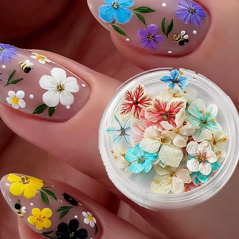 1 boîte de fleurs séchées colorées pour nail art, dégradé exquis, breloques florales en forme de lys