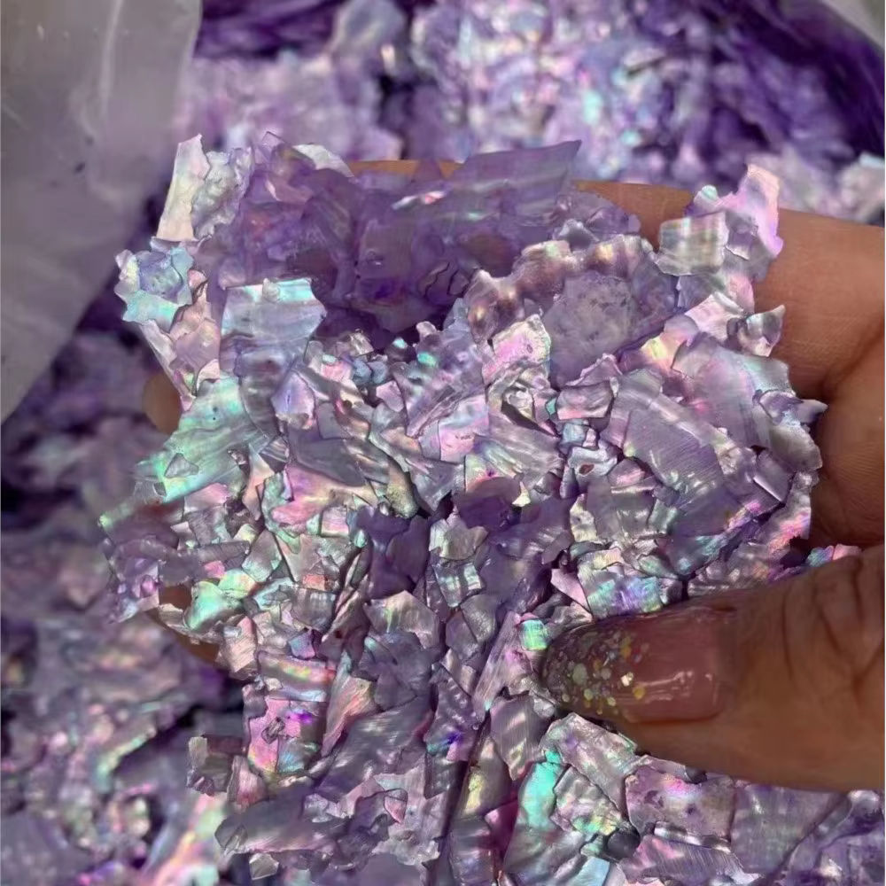 Breloques à ongles en coquillage d'ormeau naturel, nickel é ultra-mince, tranches irrégulières d'orm