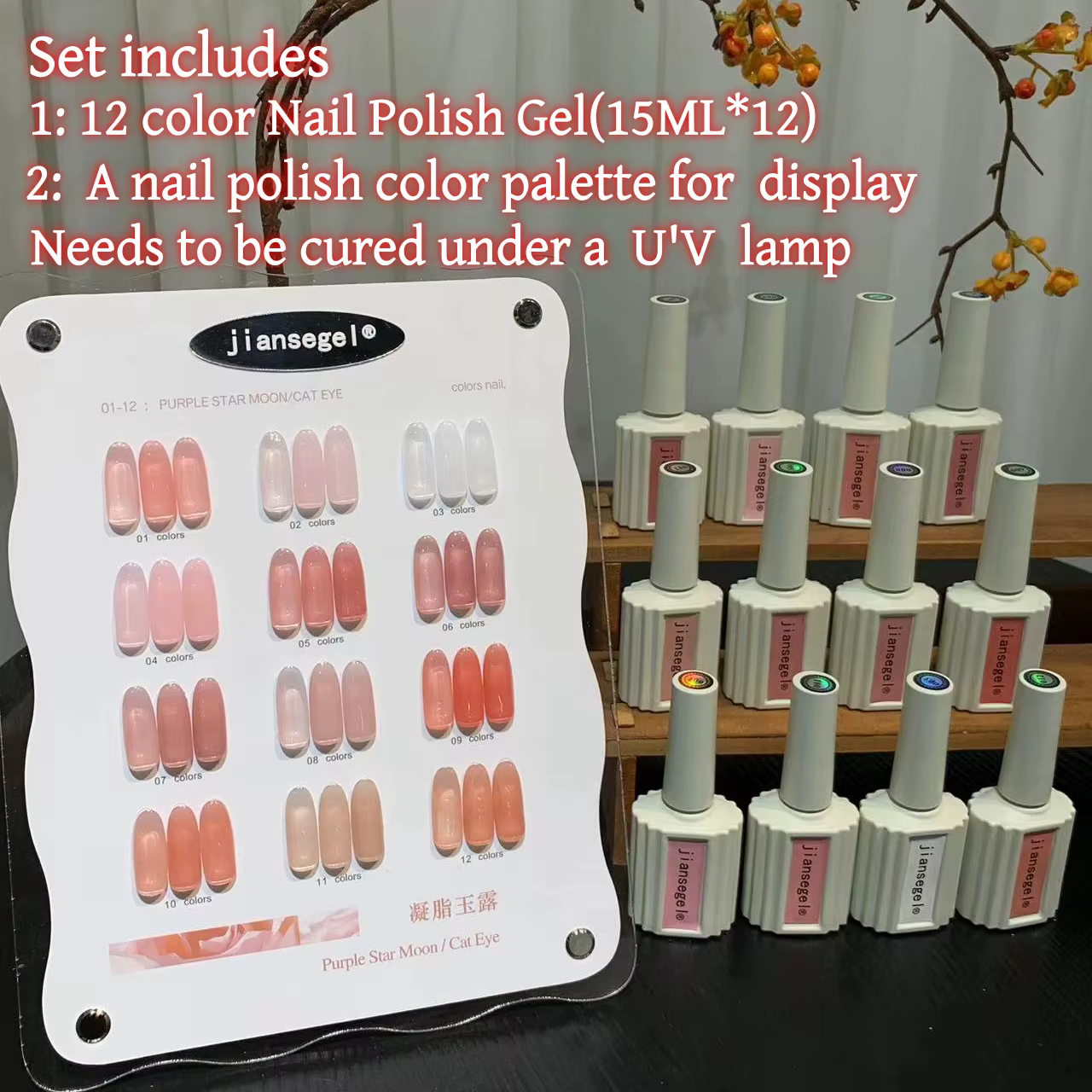 Ensemble de vernis à ongles en gel 12 couleurs pour salons de beauté, comprenant une nuancière pour 