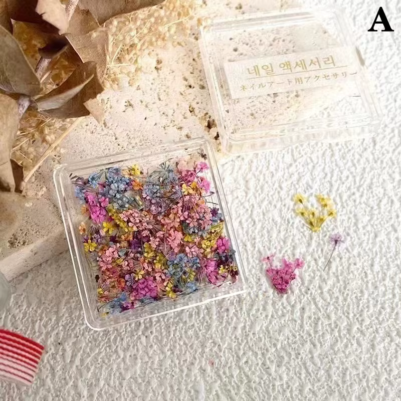 1 boîte de décoration florale pour Nail Art, fleurs séchées 3D délicates, décorations exquises pour 