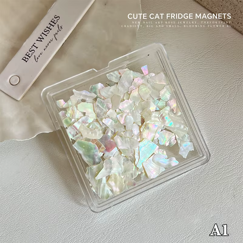 {MX} 1 boîte de flocons de coquille d'aurore, breloques d'ormeau pour Nail Art, tranche fine et irré