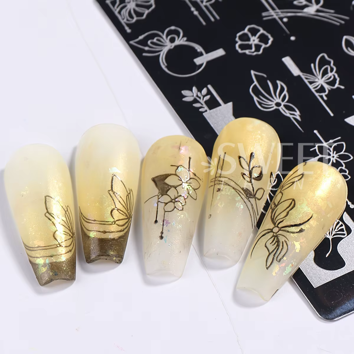 Plaque d'estampage pour Nail Art, feuilles de fleurs simples, cadre Floral papillon, Image géométriq