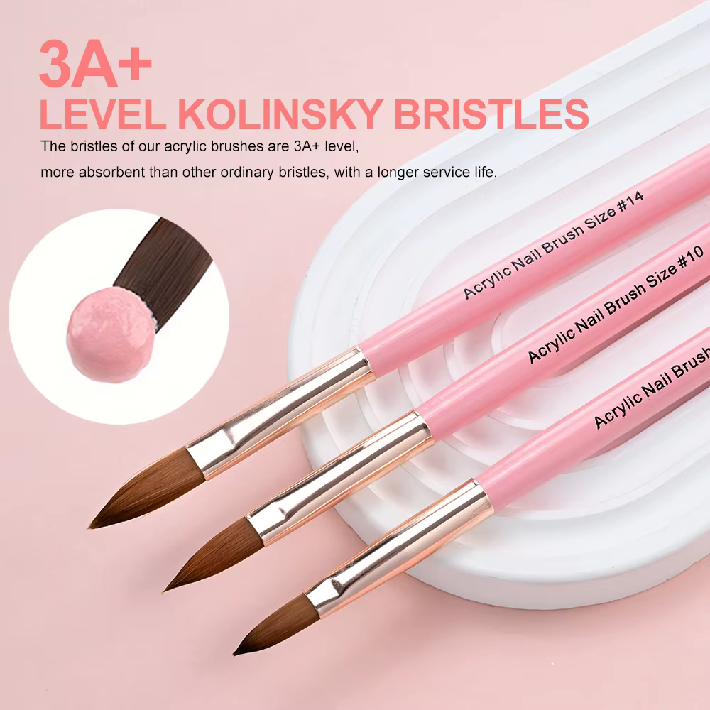 3 pièces 8/10/14 #   Kolinsky acrylique brosse à ongles Poly Extension Gel brosse vernis à ongles sc