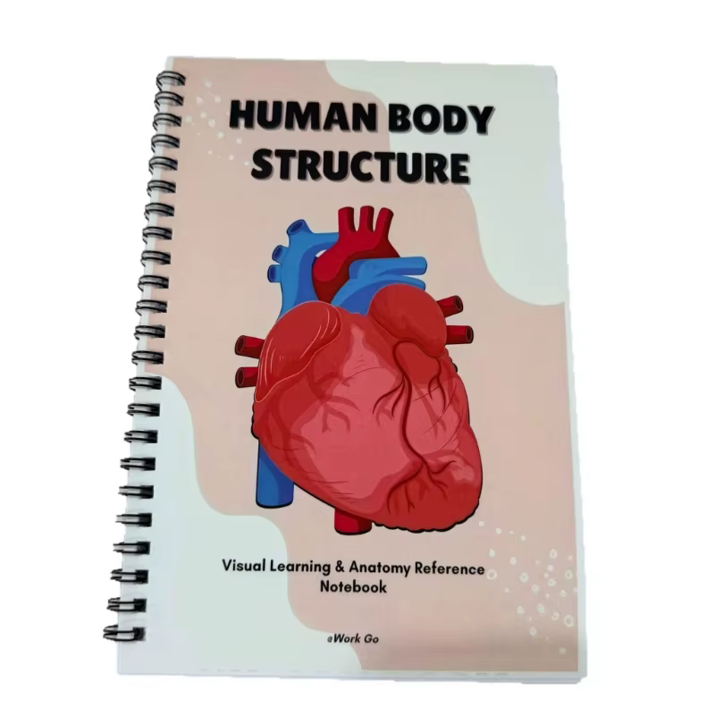 Cahier d'exercices détaillé sur le corps humain, parfait pour biologie l'enseignement des soins infi