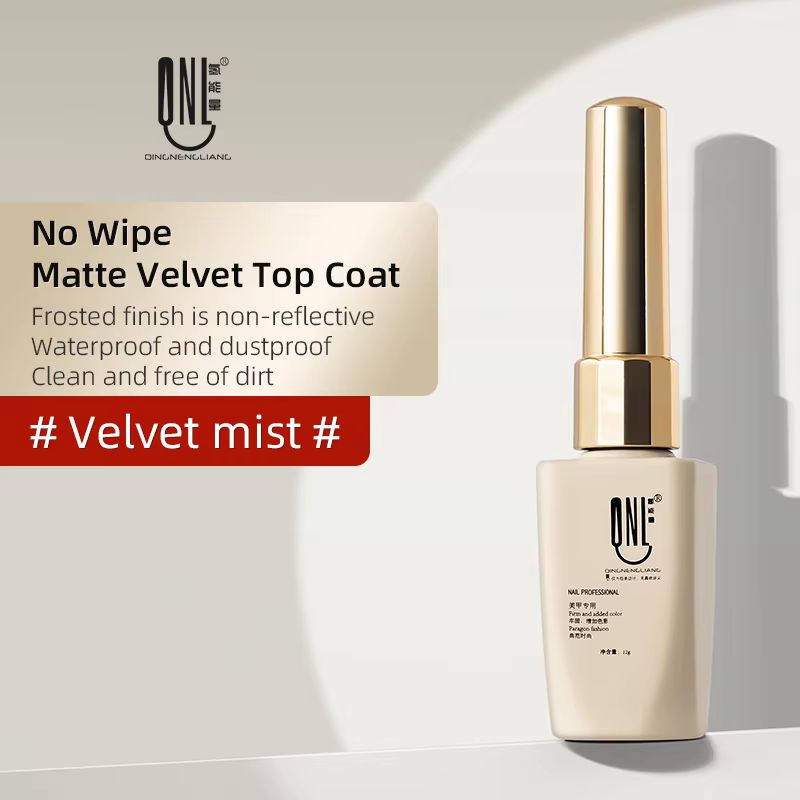 RS NAIL 12g velours mat couche de finition Gel vernis à ongles sans lingette mat velours Gel couche