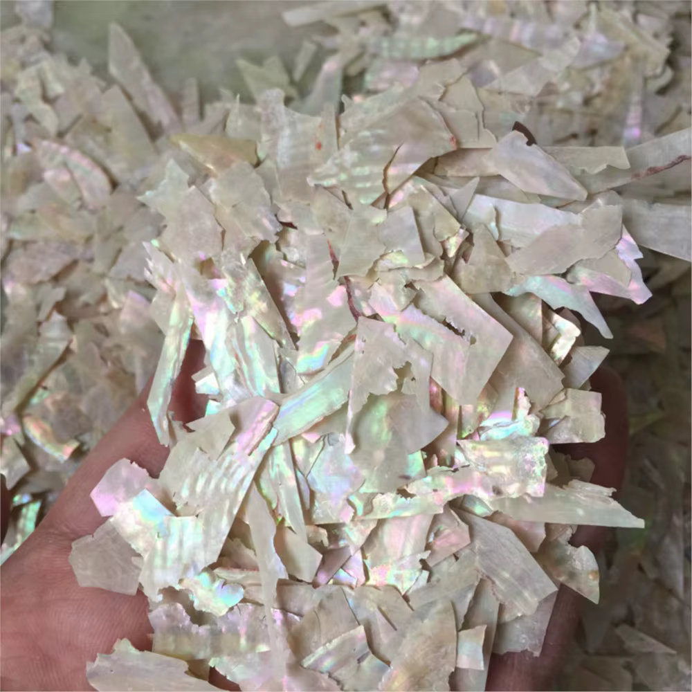 Breloques à ongles en coquillage d'ormeau naturel, nickel é ultra-mince, tranches irrégulières d'orm