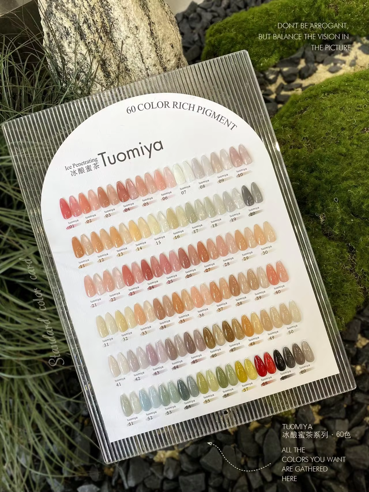 Ensemble de vernis à ongles œil de chat en velours de 60 couleurs avec nuancier, vernis à ongles sem