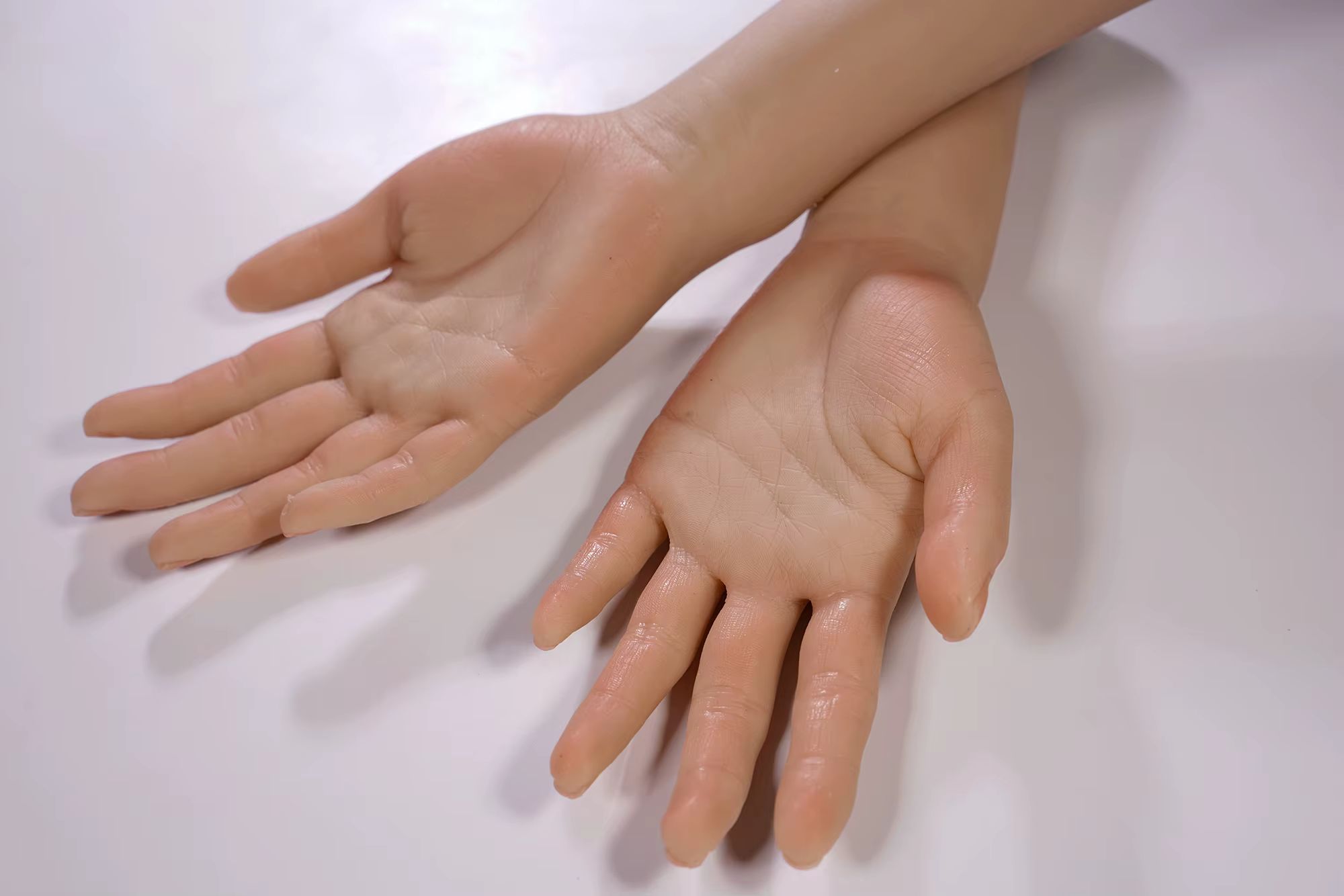 Modèle de main réaliste en Silicone