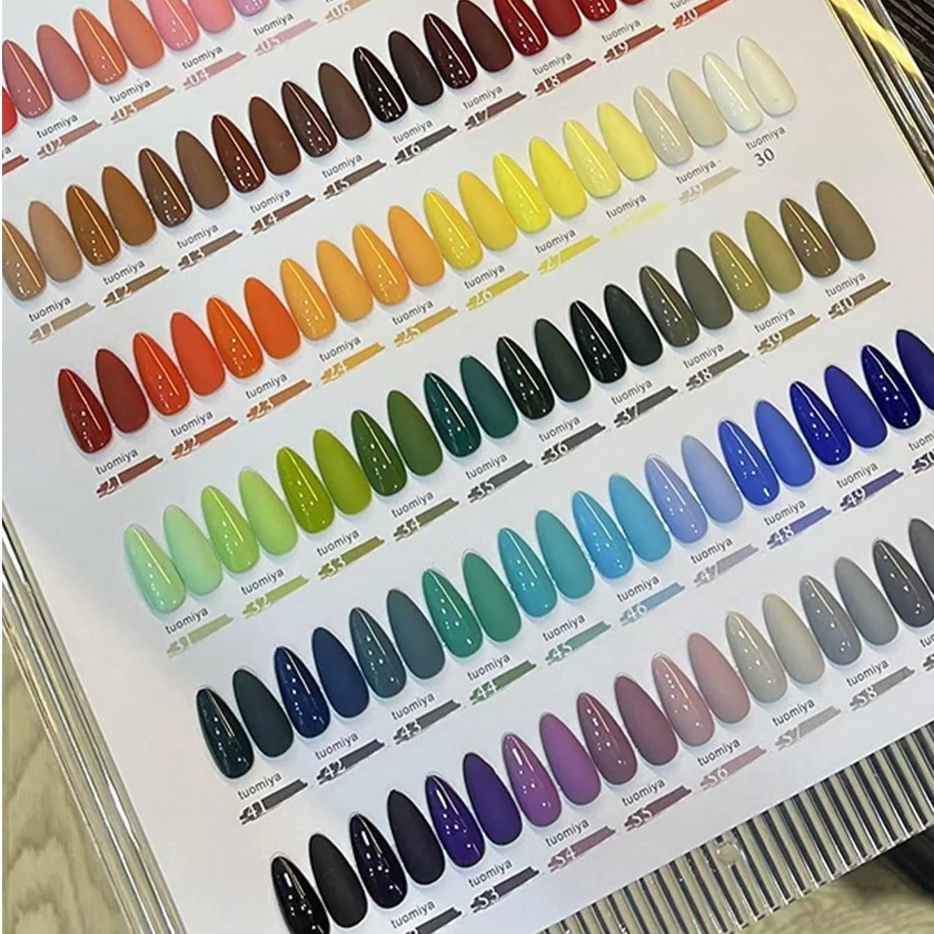 Ensemble de vernis à ongles 60 couleurs 15ml