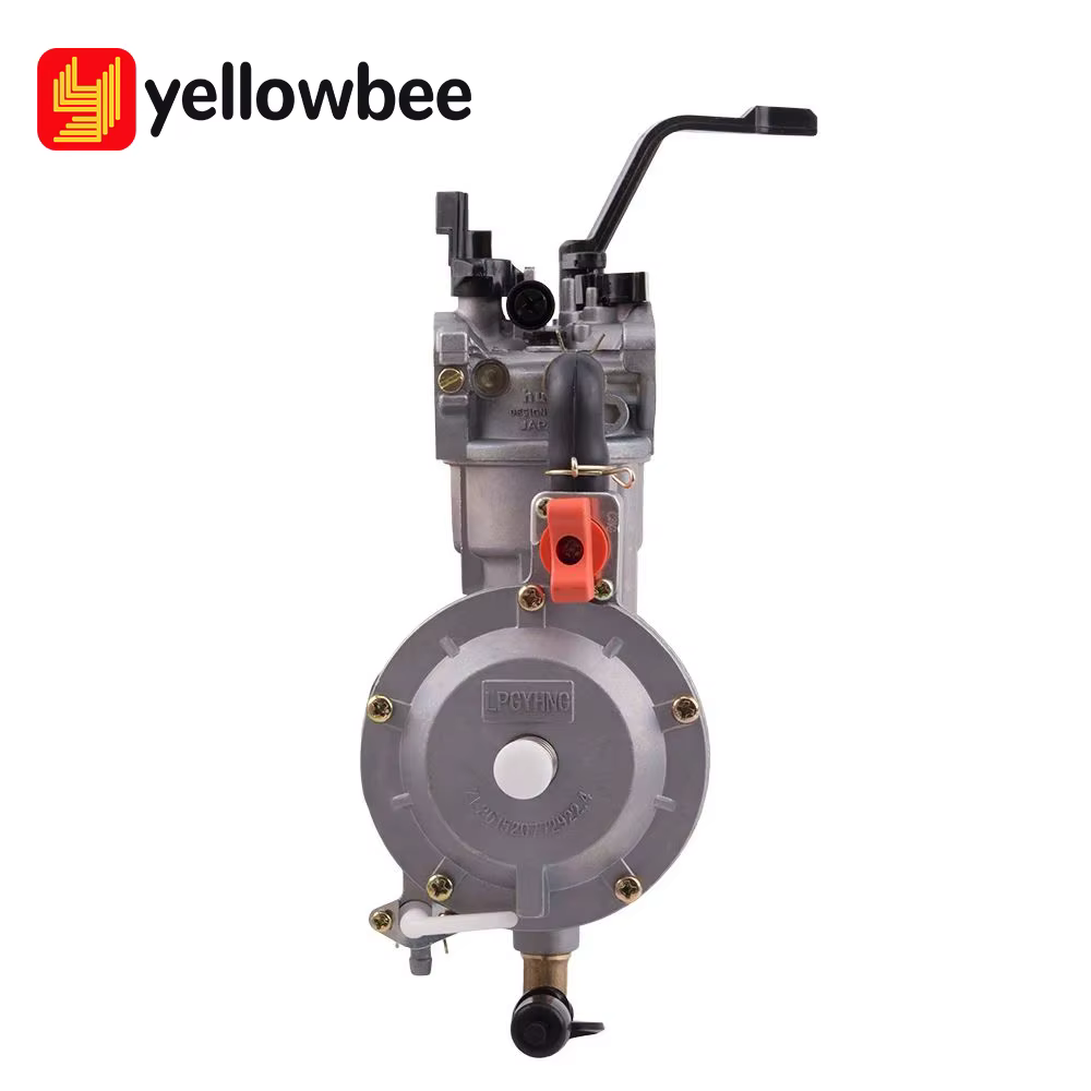 Kit de carburateur double carburant GPL/GN pour générateur électrique, accessoire de conversion GPL/GN pour pièces de générateur électrique 3KW 168F 170F 6.5HP