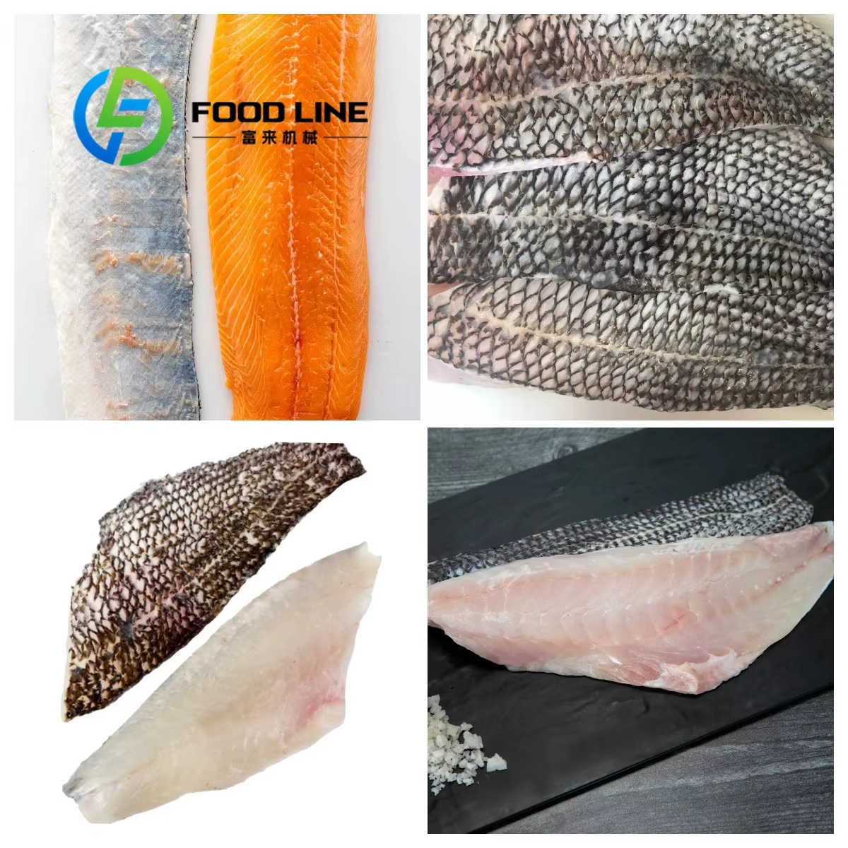 Nouveau Machine à éplucher les poissons de calmar, éplucheur de peau de seiche, Machine à peau de poisson rouge