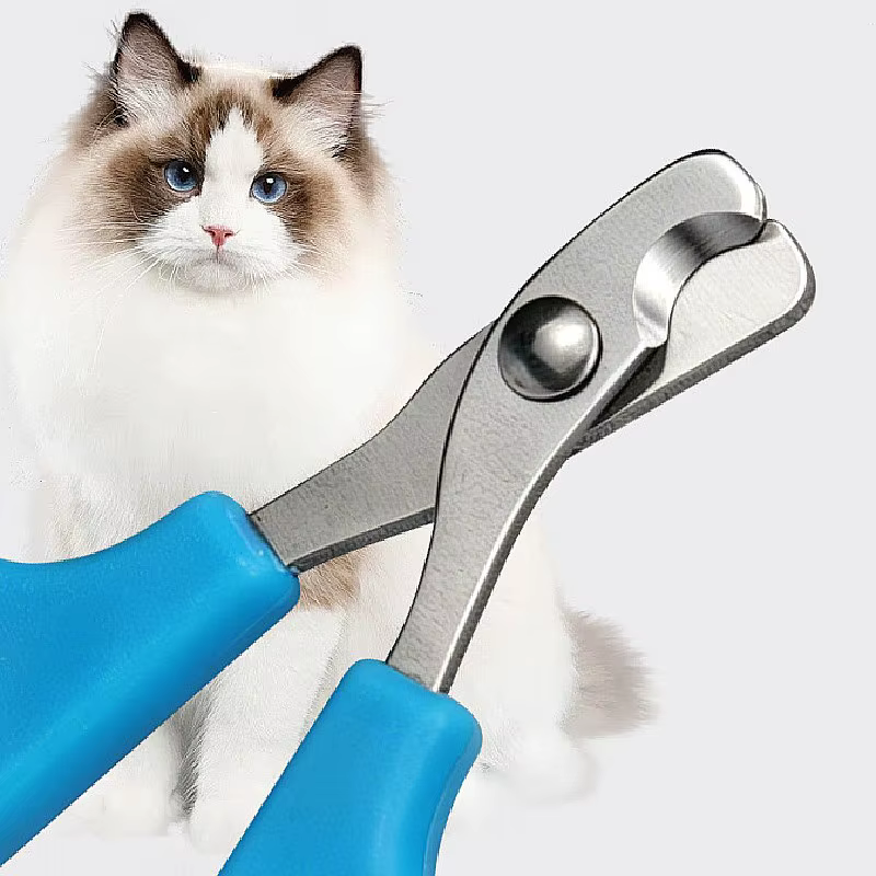 Coupe-ongles pour chien, ciseaux à ongles pour animaux de compagnie, coupe-ongles sans douleur pour chiens, nettoyage des griffes, toilettage des chiens, coupe-ongles pour chats, produits pour animaux