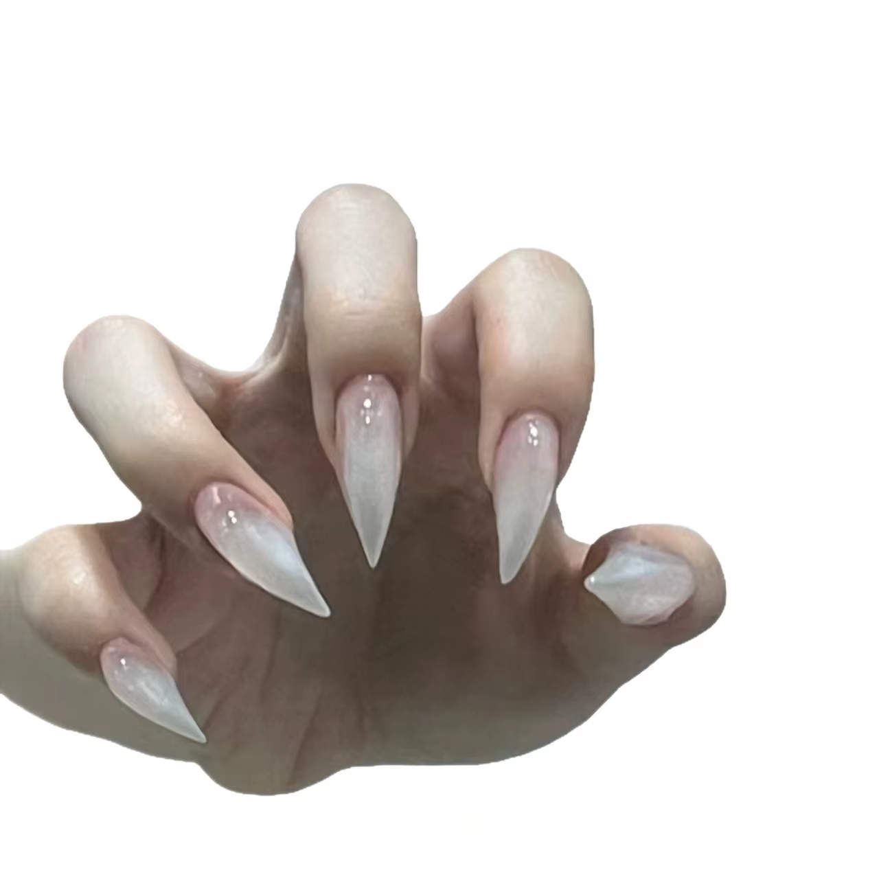 Faux ongles en forme de Dragon faits à la main