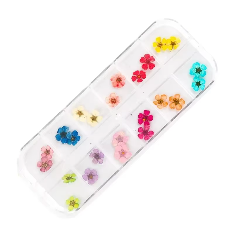 12 couleurs fleurs séchées Nail Art décoration 3D naturel Floral coloré
