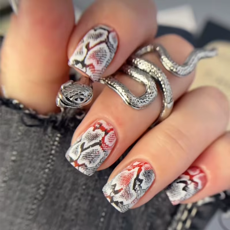 Image animale serpent léopard ongles estampage tigre zèbre