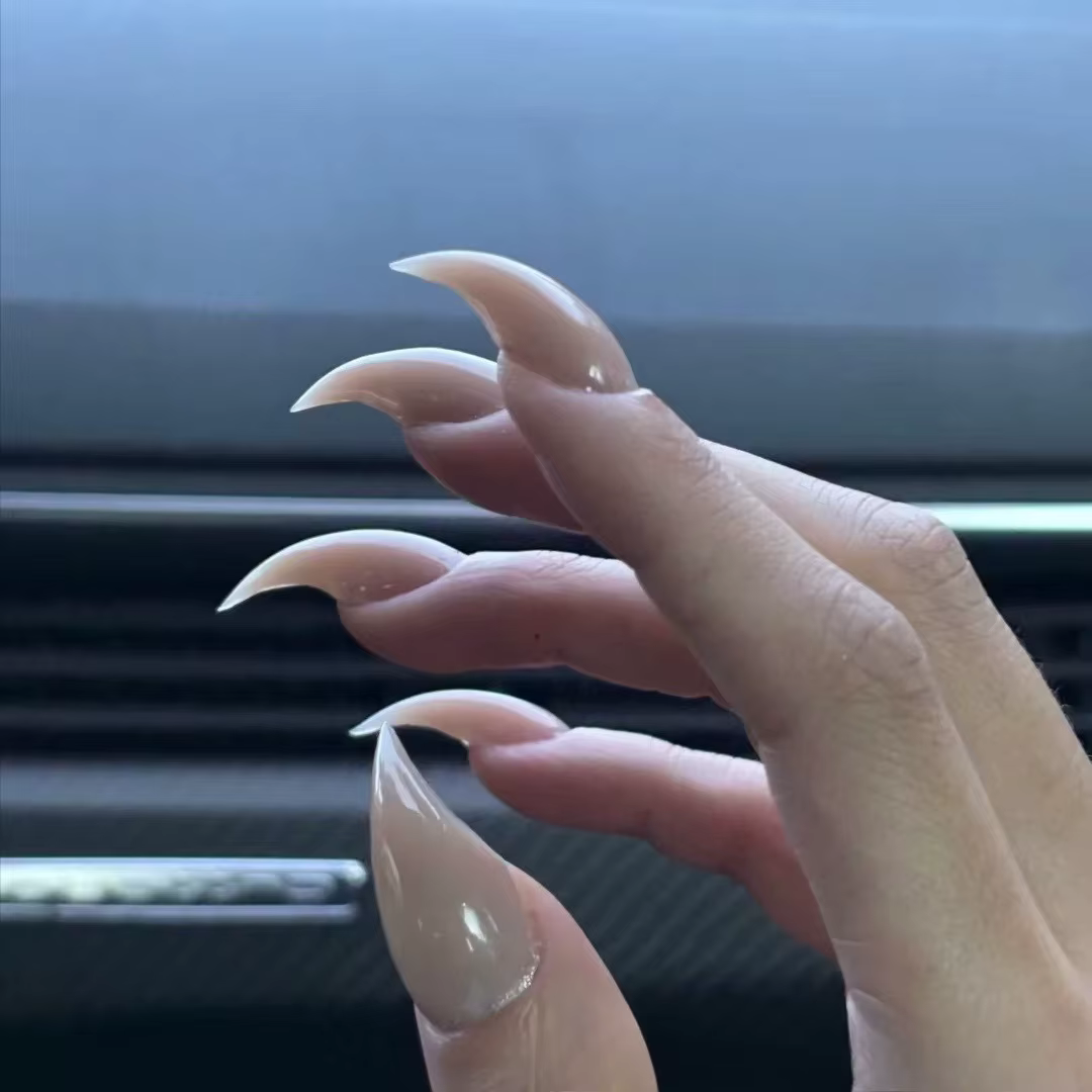Faux ongles en forme de Dragon faits à la main