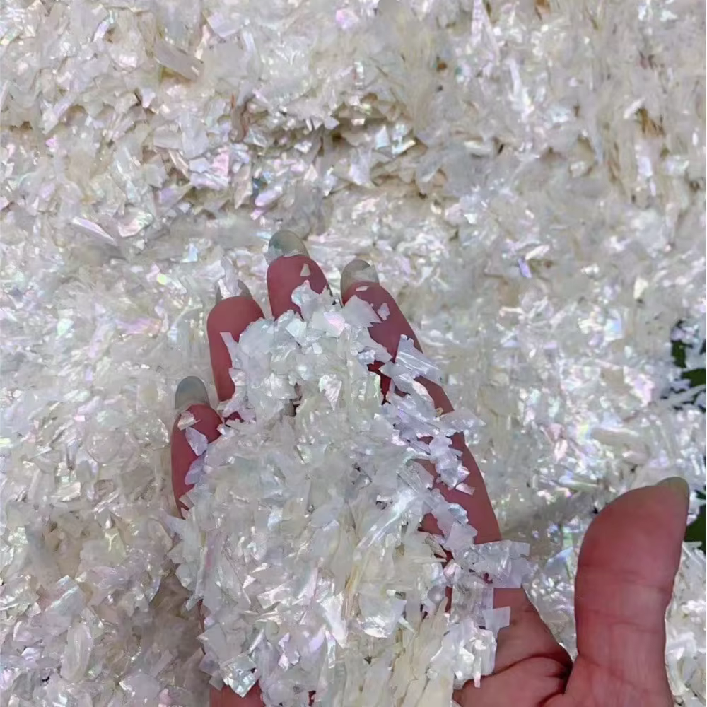 Breloques à ongles en coquillage d'ormeau naturel