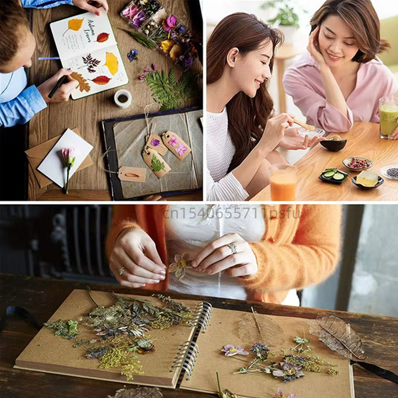 Boutons de jasmin naturels de qualité supérieure, pétales de jasmin pour mélanger des fleurs sèches, décoration de mariage à domicile, bougie à bricoler soi-même, fabrication de savon, décorations de 