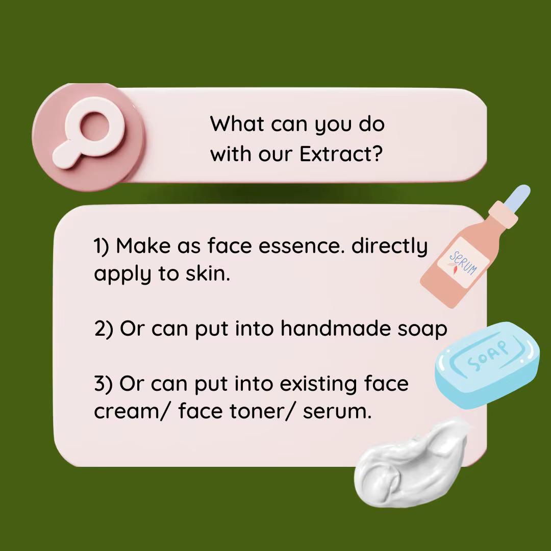 Extrait de racine de Kudzu naturelle, essence liquide Pueraria corrigée, taches midilutes déformables, raffermissant, blanchissant, hydratant, soins de beauté pour la peau