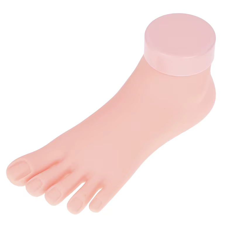 Modèle de formation des ongles des orteils