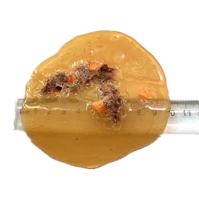 Faux jouet de farces à vomir réaliste, jouet alimentaire pour Halloween, poisson d'avril, ami amusant, accessoires de fête grossiers