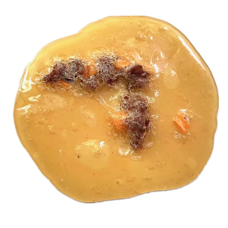 Faux jouet de farces à vomir réaliste, jouet alimentaire pour Halloween, poisson d'avril, ami amusant, accessoires de fête grossiers
