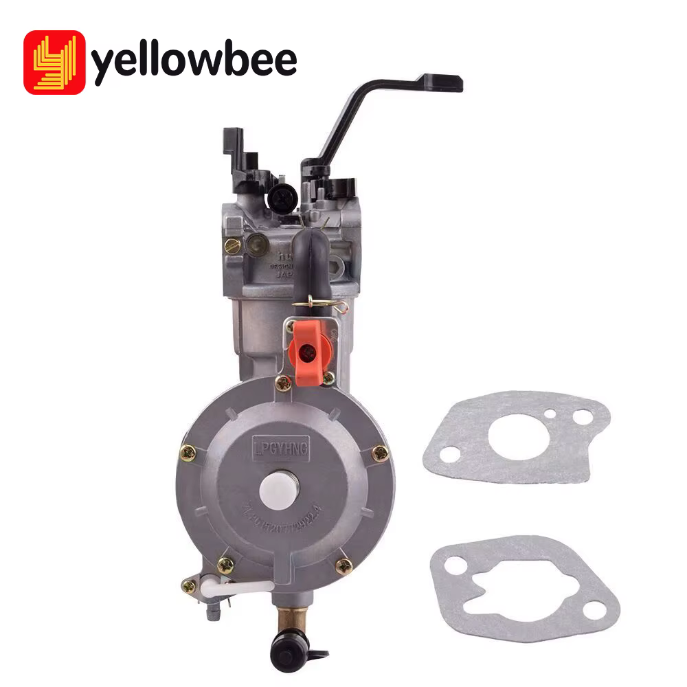 Kit de carburateur double carburant GPL/GN pour générateur électrique, accessoire de conversion GPL/GN pour pièces de générateur électrique 3KW 168F 170F 6.5HP
