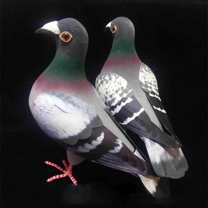 Modèle de Pigeon en mousse de Simulation de grande taille, faux oiseau artificiel, Animal, ornement de jardin de maison, décoration Miniature