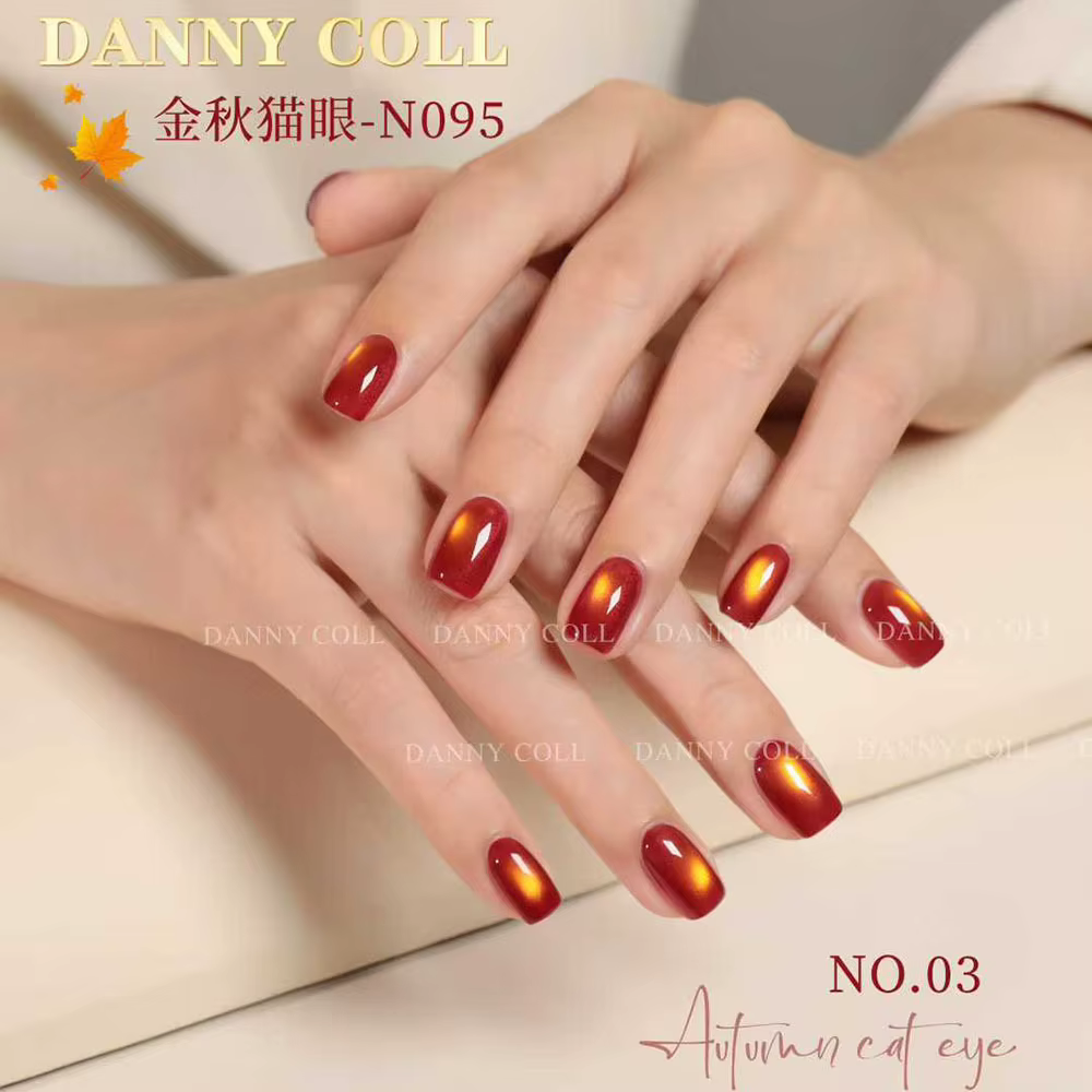 Ensemble de vernis Gel œil de chat marron d'automne avec affichage couleur HEMA/TPO Gel magnétique de luxe gratuit à