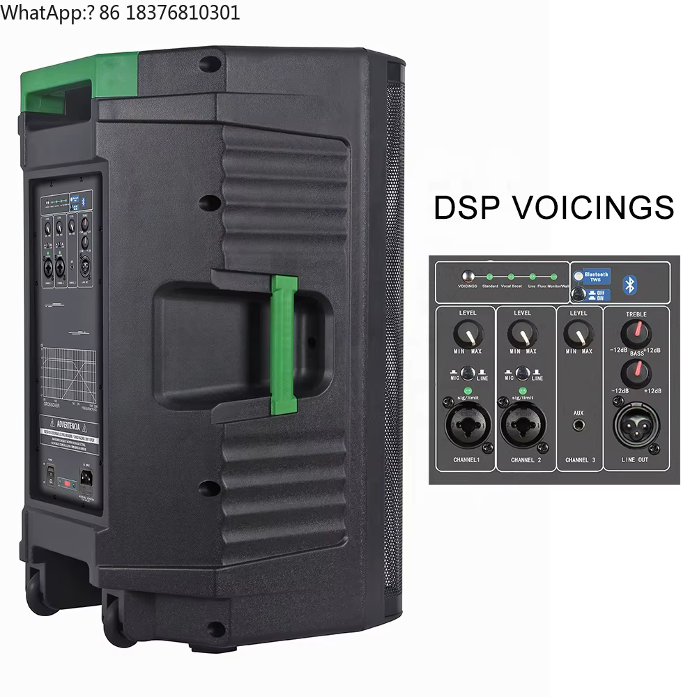 Système de sonorisation professionnel polyvalent de 2000 Watts avec haut-parleur de 15 pouces, enceinte PA avec BT, DSP, mixeur, écho de guitare