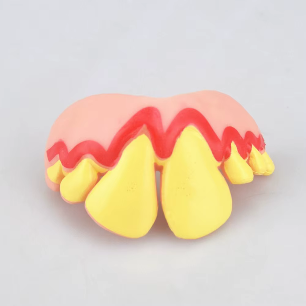 Gags pour prothèses dentaires amusantes, 10 styles, dents laides, jouet en caoutchouc, fausses dents, accessoire de décoration d'halloween