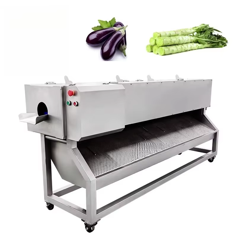 Machine à éplucher les racines en acier inoxydable, Machine à éplucher et à laver les Yam, éplucheur d'aubergine, Machine d'élimination de la peau des carottes, personnalisée