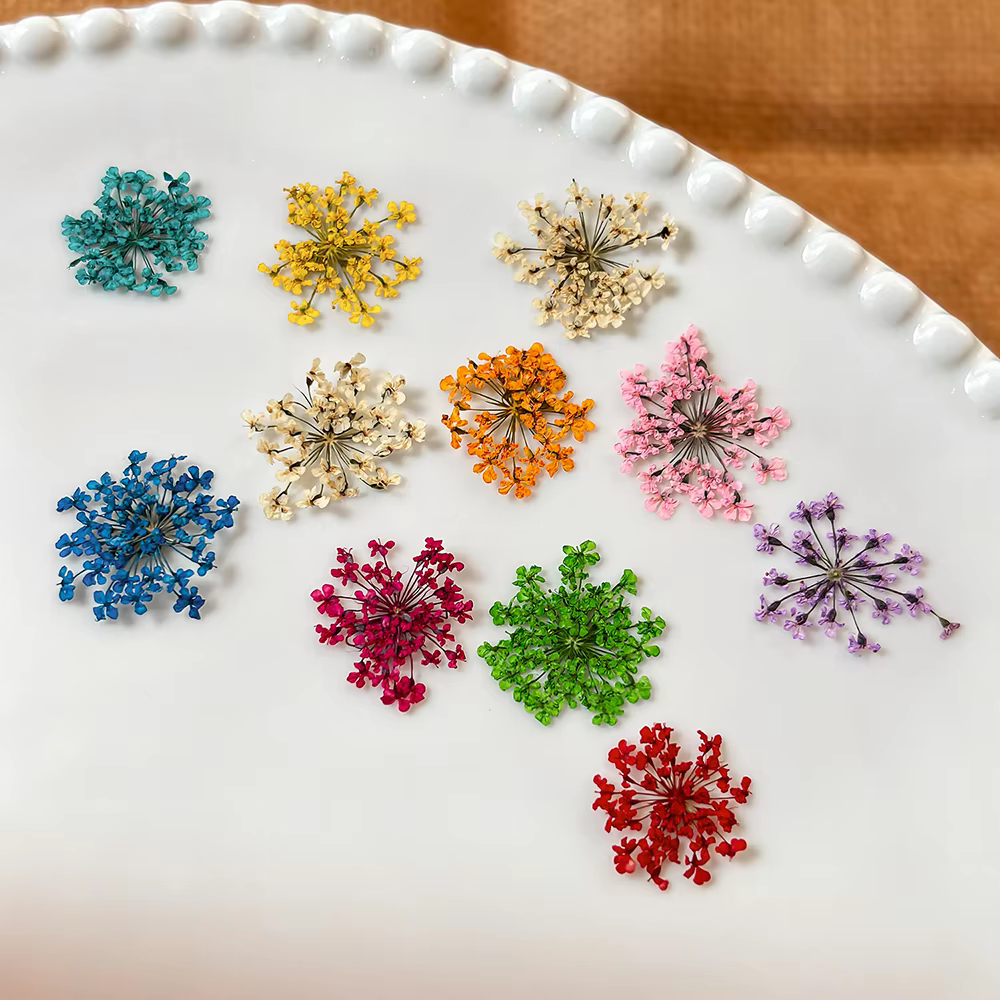 1 boîte de fleurs séchées 3D de style japonais pour la décoration des ongles