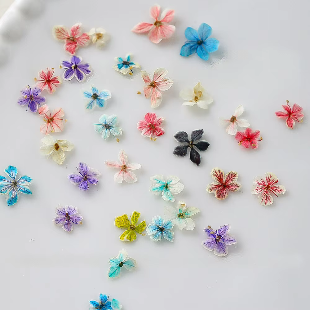 1 boîte de fleurs séchées colorées pour nail art