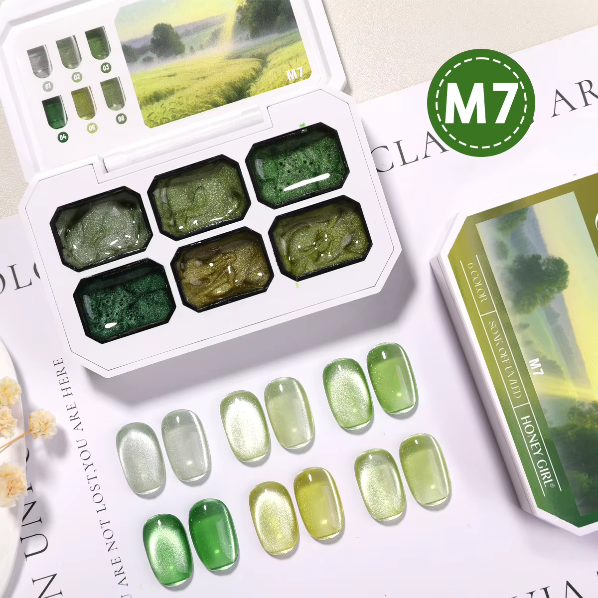 Gel magnétique pour ongles effet œil de chat 2g x 6 couleurs